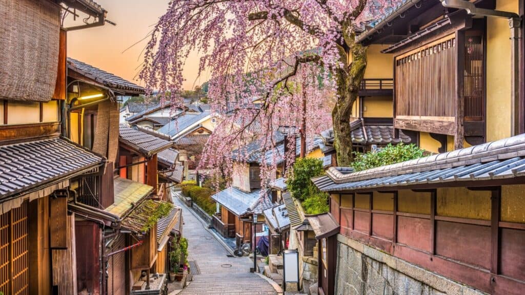 street in kyoto with cherry blossom trees