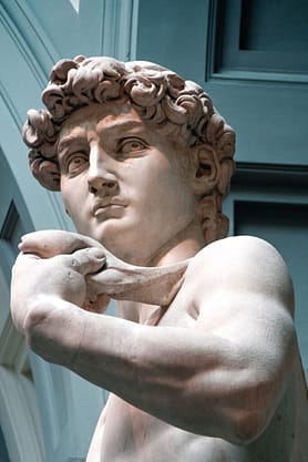 close up of il david